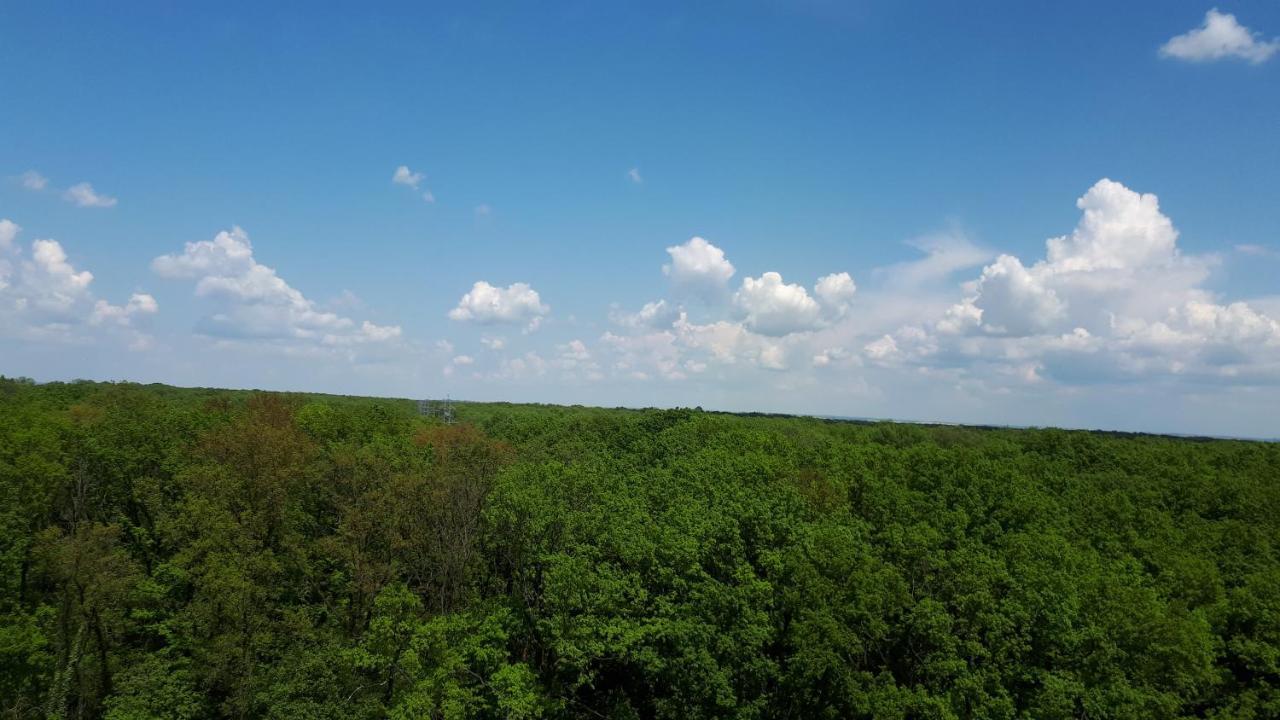 Foresthouse 2 Timisoara Luaran gambar