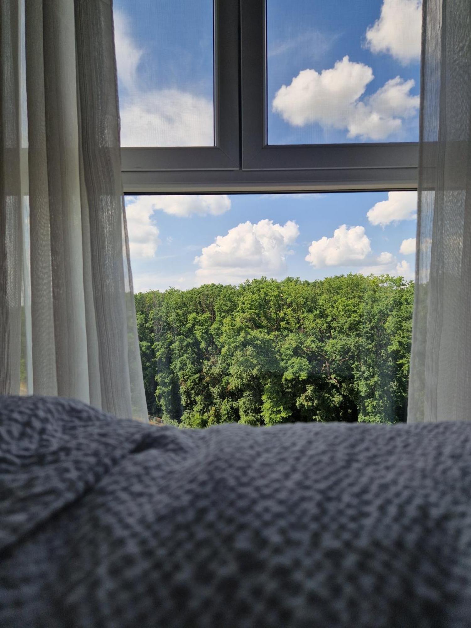 Foresthouse 2 Timisoara Luaran gambar